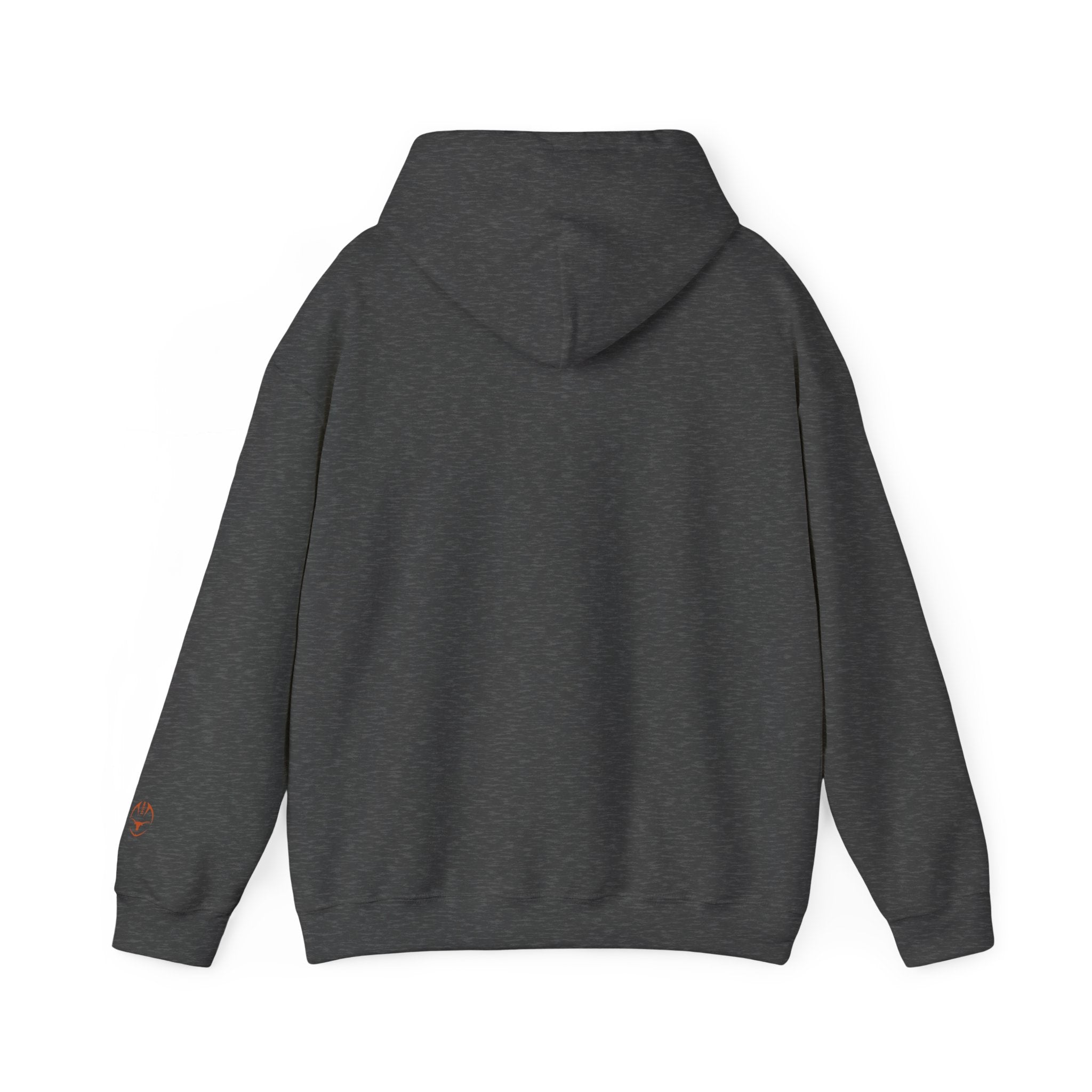 Men's Texas Longhorns Texas Fight Hoodie