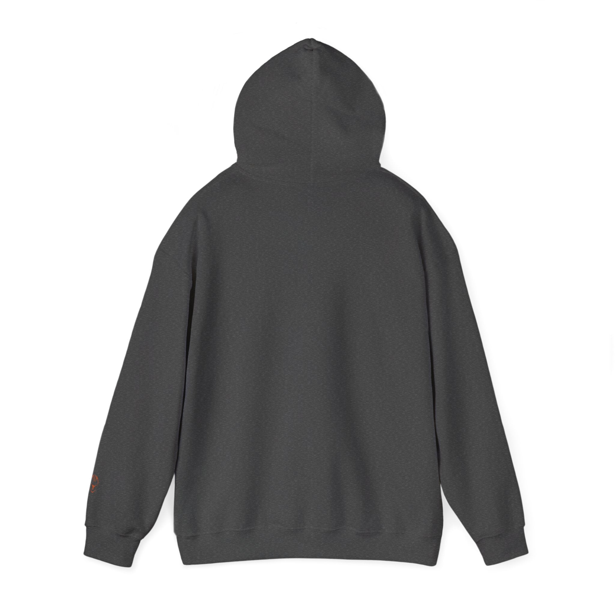 Men's Texas Longhorns Texas Fight Hoodie